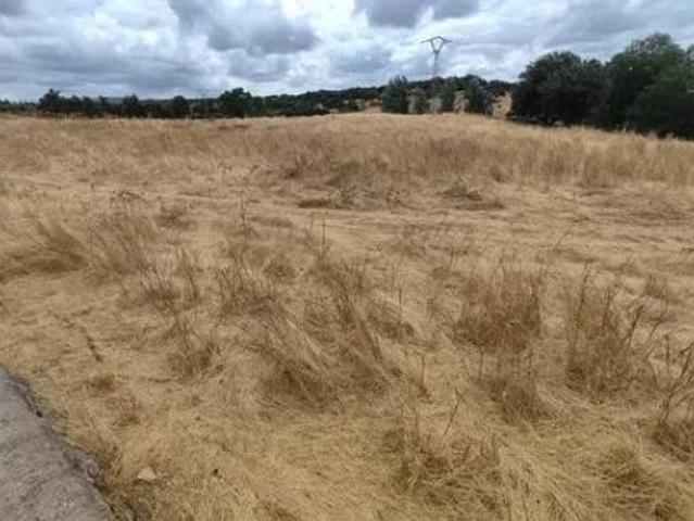 Terreno en venta en Burguillos del Cerro, Badajoz