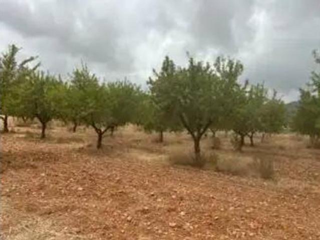 Terreno en venta en l'Empalme, Cabanes