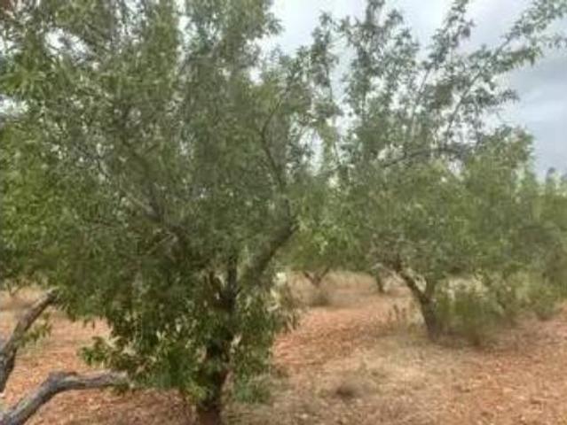 Terreno en venta en l'Empalme, Cabanes