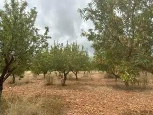 Terreno en venta en l'Empalme, Cabanes
