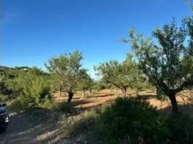 Terreno en venta en l'Empalme, Cabanes