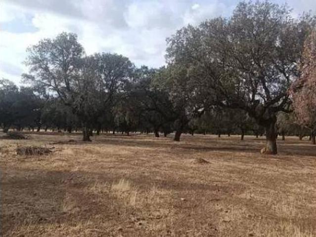 Terreno en venta en Retamosa, Cabañas del Castillo