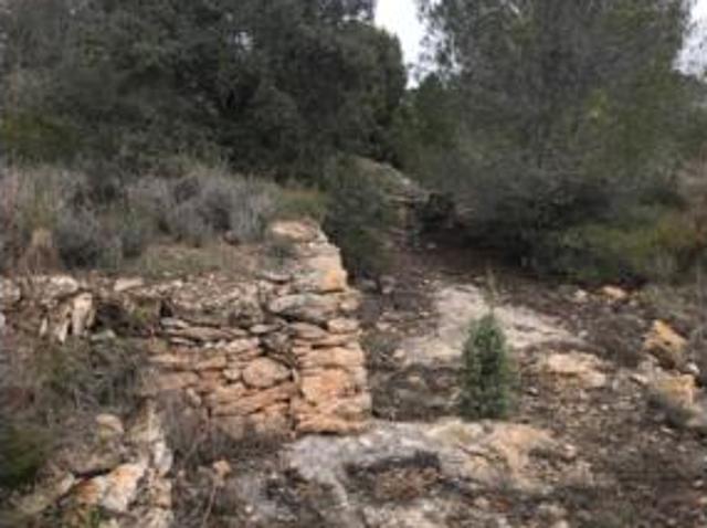 Terreno en venta en Cabra del Camp, Tarragona