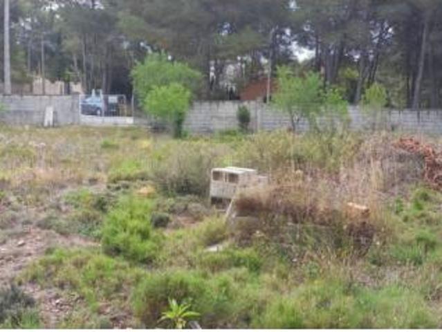 Terreno en venta en Mas del Plata, Cabra del Camp