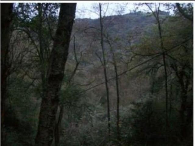 Terreno en venta en Fresnéu, Cabranes