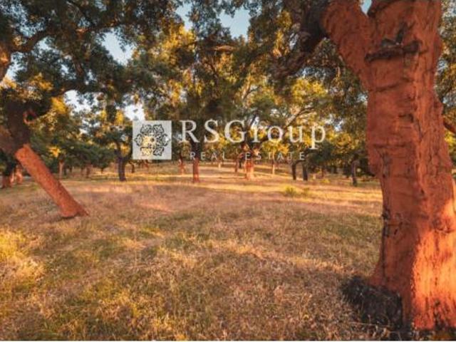 Terreno en venta en Polígono Industrial Juan del Cid Calonge, Cala