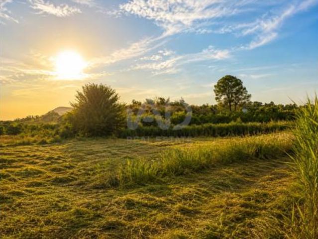 Terreno en venta en Calasparra, Región de Murcia