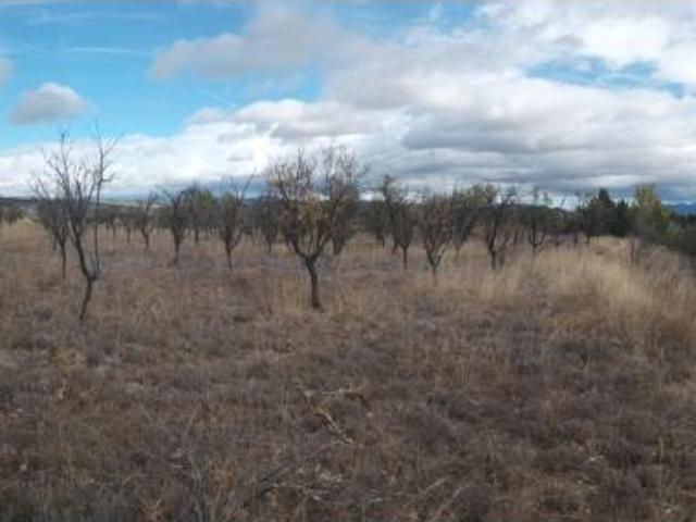 Terreno en venta en Carramolina, Calatayud