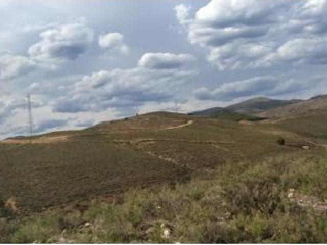 Terreno en venta en Embid de la Ribera, Calatayud