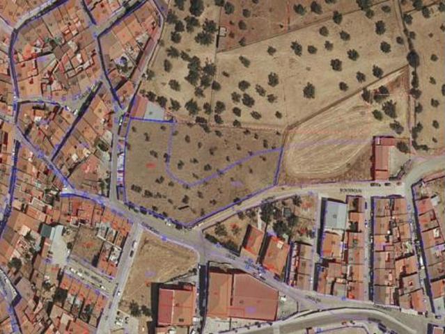 Terreno en venta en Calera de León