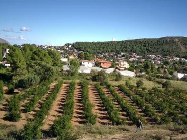 Terreno en venta en CALLES, Calles