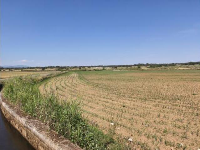 Terreno en venta en Calzadilla, Cáceres