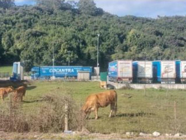 Terreno en venta en Herrera, Camargo