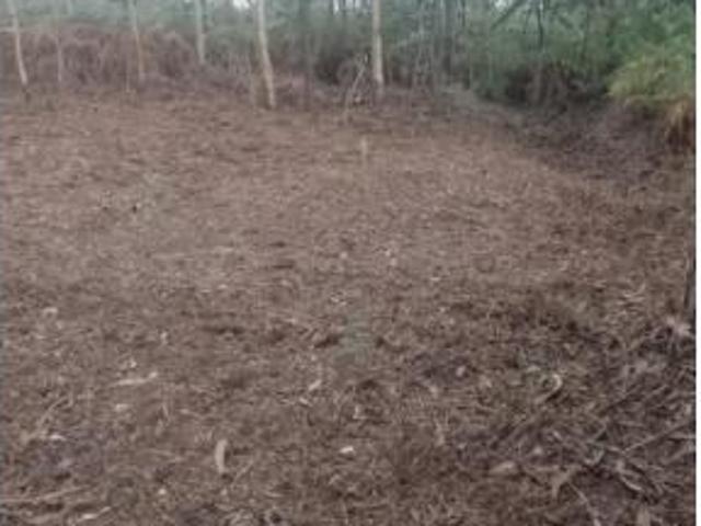 Terreno en venta en Os Pazos, Cambados