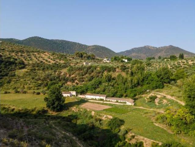 Terreno en venta en Arbuniel, Cambil
