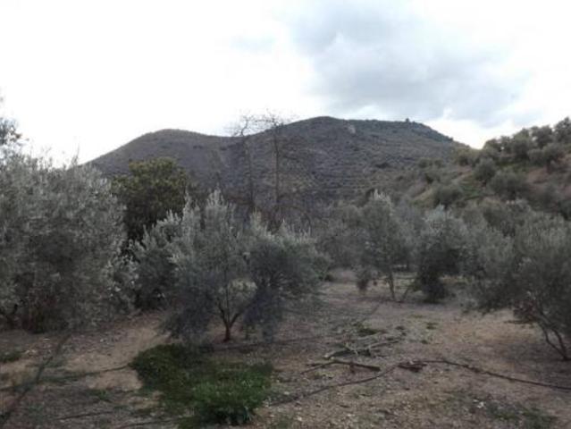 Terreno en venta en El Santo, Cambil