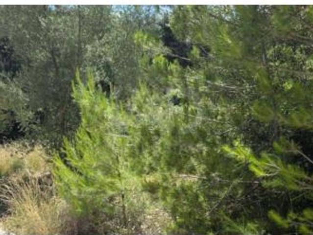Terreno en venta en Campanet, Illes Balears