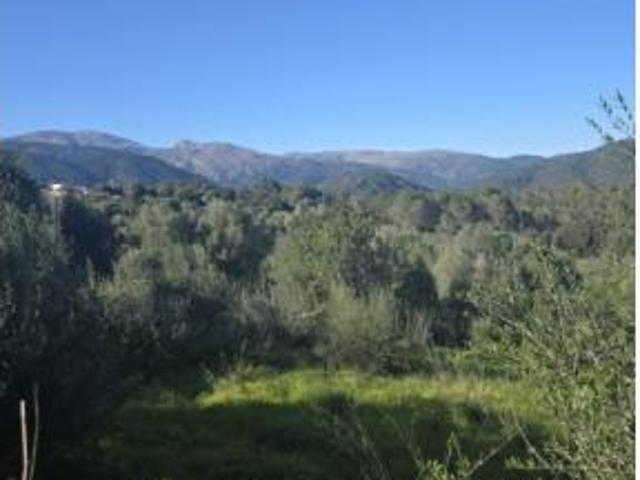 Terreno en venta en Son Borràs, Campanet
