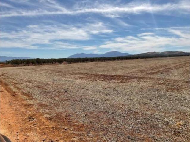 Terreno en venta en Campillos, Málaga