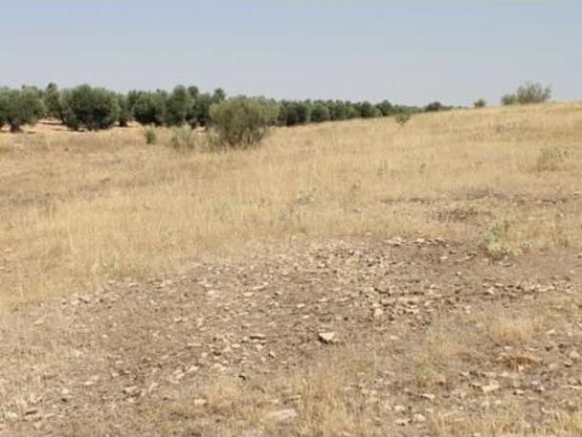 Terreno en venta en Campo de Criptana, Ciudad Real
