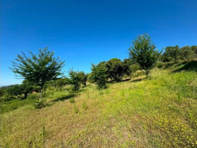 Terreno en venta en Candeleda, Ávila