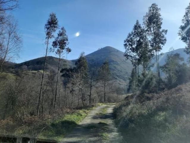 Terreno en venta en Cangas de Onís