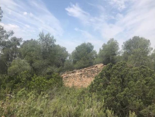 Terreno en venta en Capçanes, Tarragona