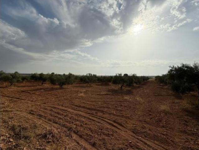 Terreno en venta en Huerto el Soldado, Carmona