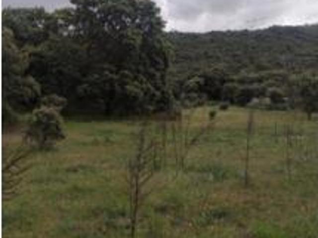 Terreno en venta en Casas del Castañar, Cáceres