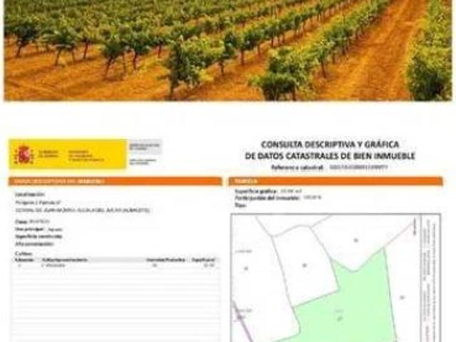 Terreno en venta en Casas-Ibáñez, Albacete