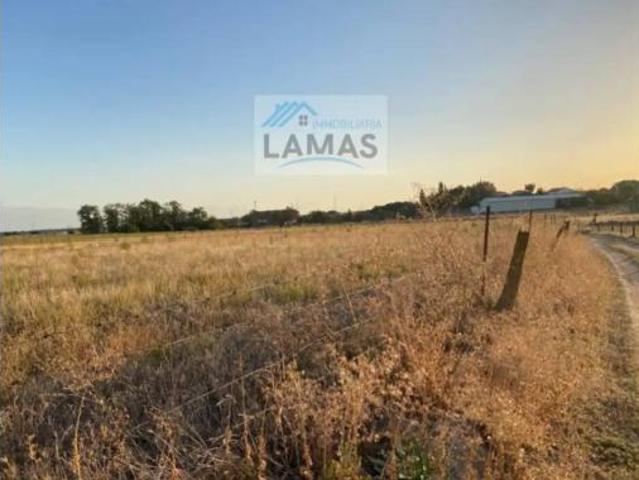 Terreno en venta en Casatejada