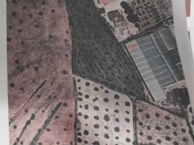 Terreno en venta en Sax, Alacant / Alicante