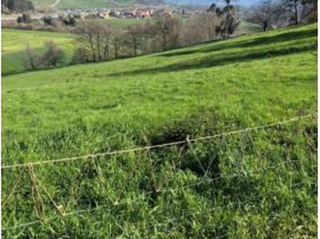 Terreno en venta en Pomaluengo, Castañeda