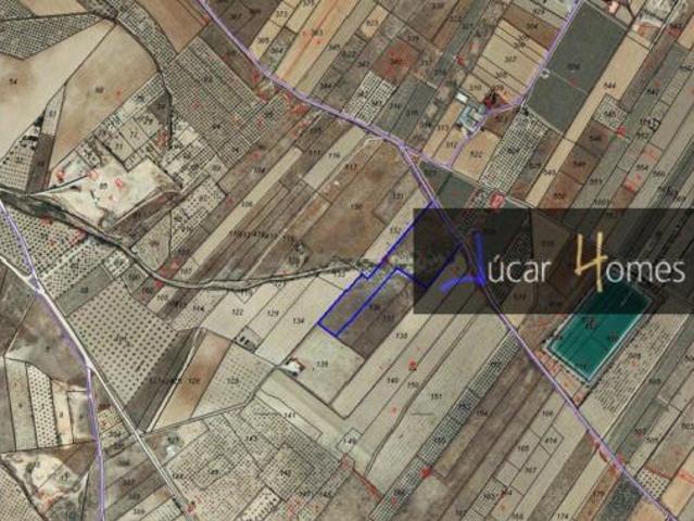 Terreno en venta en El Blanco, Caudete