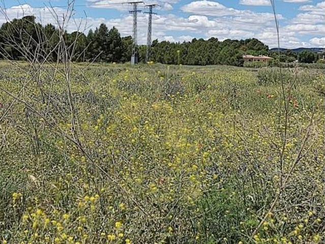 Terreno en venta en Caudete, Albacete