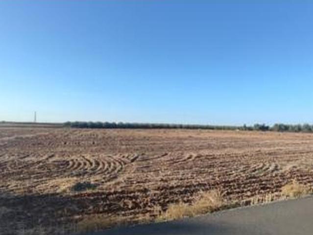 Terreno en venta en Cañada Rosal, Sevilla