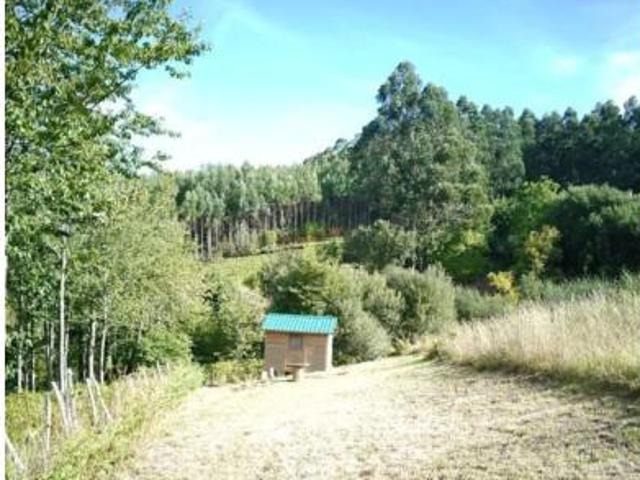 Terreno en venta en Cedeira