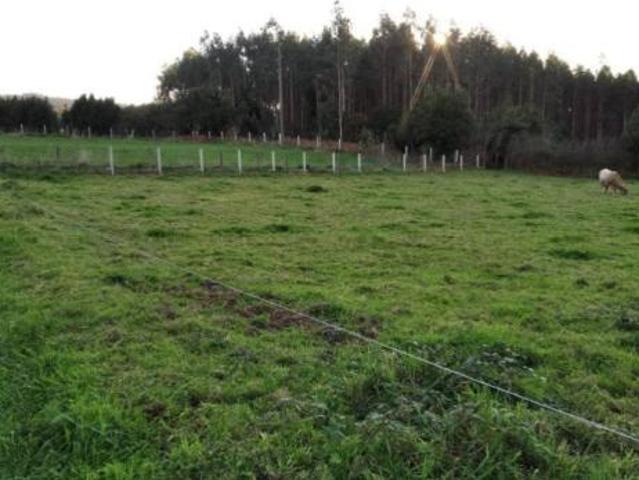 Terreno en venta en Cedeira