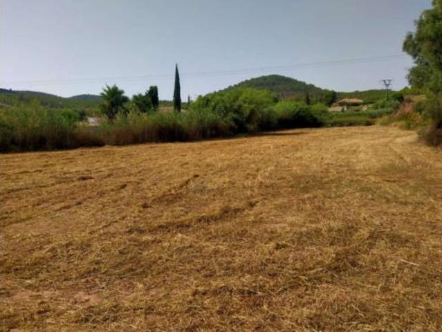 Terreno en venta en Cehegín, Región de Murcia