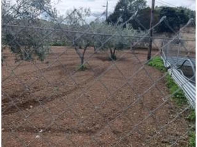 Terreno en venta en Chaparral, Cehegín