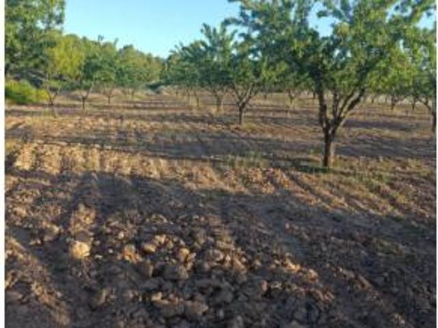 Terreno en venta en Chaparral, Cehegín