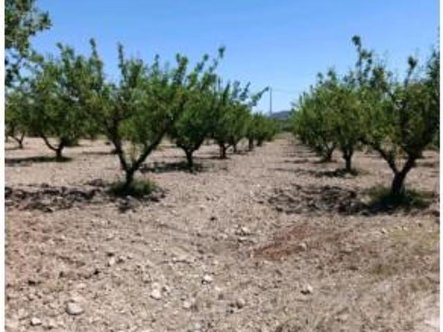 Terreno en venta en Campillo y Suertes, Cehegín