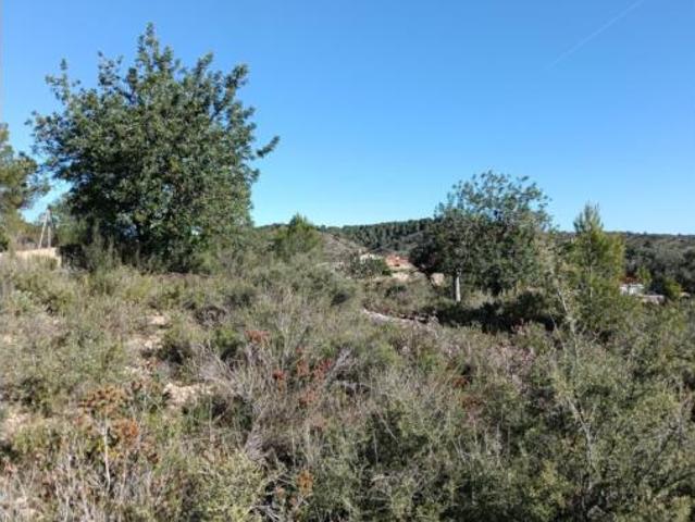Terreno en venta en Urbanización Cañada Fría, Cheste