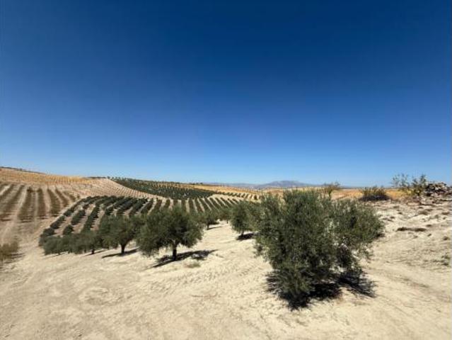 Terreno en venta en Ventas de Huelma, Granada