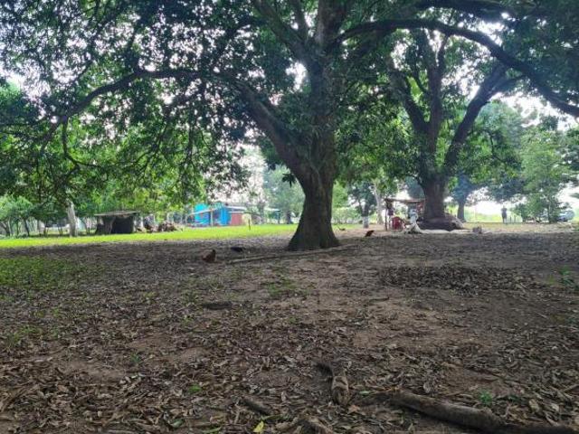 Terreno en venta en Chinameca, Veracruz