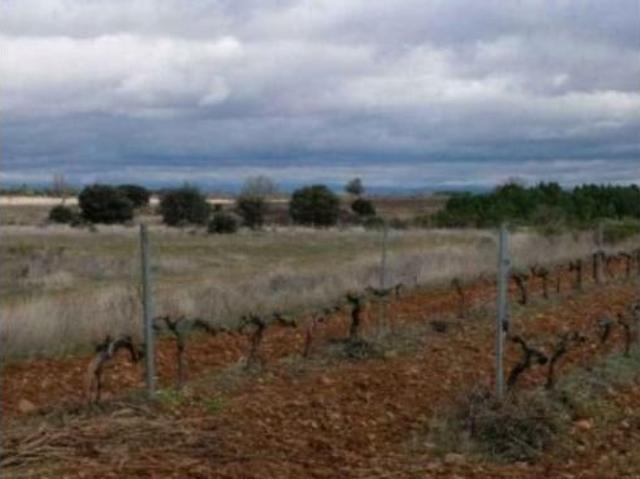 Terreno en venta en Chozas de Abajo, León