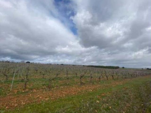Terreno en venta en Chozas de Abajo, León