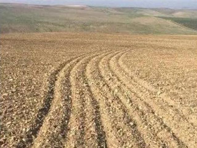 Terreno en venta en Chucena, Huelva