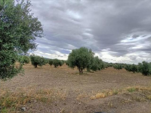 Terreno en venta en Chueca, Toledo