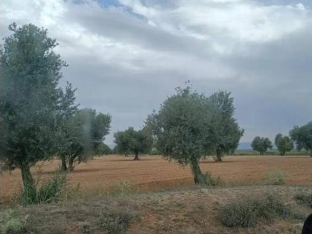 Terreno en venta en Chueca, Toledo